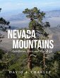 Nevada Mountains - Bild 1