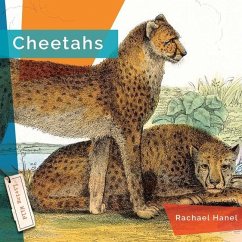 Cheetahs - Hanel, Rachael