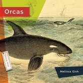 Orcas