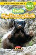 Skunks - Bild 1