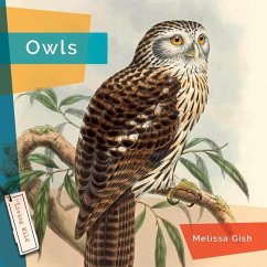 Owls - Gish, Melissa