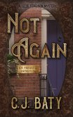 Not Again (E.M. Ferguson Detective) (eBook, ePUB)