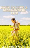 How to Live a Meaningful Life (eBook, ePUB)
