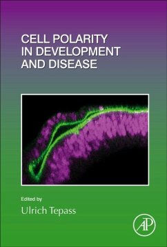 Cell Polarity in Development and Disease