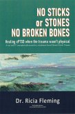 No Sticks or Stones No Broken Bones: Healing CPTSD When the Trauma Wasn't Physical; It Was NaCCT: Non-physically-assaultive, Attachment-based Chronic Covert Trauma (eBook, ePUB)