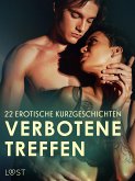 Verbotene Treffen: 22 erotische Kurzgeschichten (eBook, ePUB)