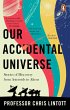 Our Accidental Universe (eBook, ePUB) - Bild 1