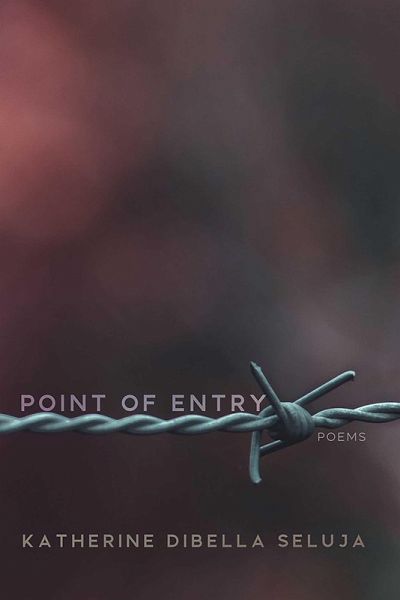 Point of Entry (eBook, ePUB)