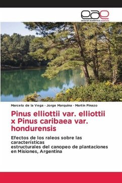 Pinus elliottii var. elliottii x Pinus caribaea var. hondurensis - de la Vega, Marcelo;Marquina, Jorge;Pinazo, Martín