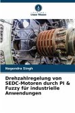Drehzahlregelung von SEDC-Motoren durch PI & Fuzzy für industrielle Anwendungen