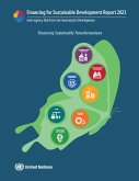 Report of the Inter-Agency Task Force on Financing for Development 2023: Financing for Sustainable Development Report 2019
