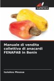 Manuale di vendita collettiva di anacardi FENAPAB in Benin