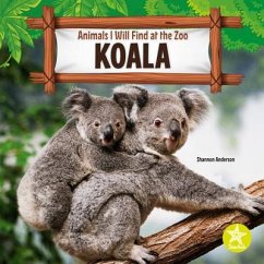 Koala - Anderson, Shannon
