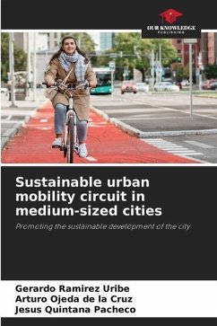 Sustainable urban mobility circuit in medium-sized cities - Ramírez Uribe, Gerardo;Ojeda de la Cruz, Arturo;Quintana Pacheco, Jesus