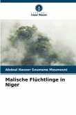 Malische Flüchtlinge in Niger