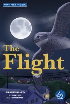 Cover The Flight