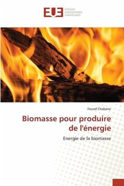 Biomasse pour produire de l'énergie - Chabane, Foued