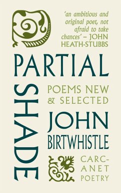Partial Shade (eBook, ePUB) - Birtwhistle, John