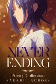 Never Ending (A Dawn Breaking Romance, #4) (eBook, ePUB) Never Ending (A Dawn Breaking Romance, #4) (eBook, ePUB)