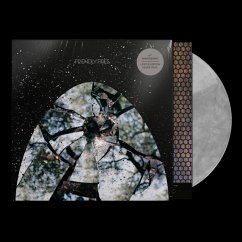 Friendly Fires (Ltd. 15th Anniversary Silver Edit. - Friendly Fires