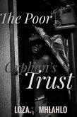 The Poor Orphan's Trust (The Undo Couples (Screenplay Chronicles), #2) (eBook, ePUB)