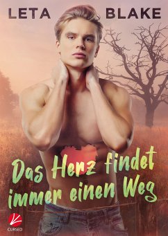 Das Herz findet immer einen Weg (eBook, ePUB) - Blake, Leta