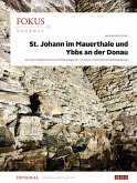 Fokus Denkmal 11 (eBook, PDF)