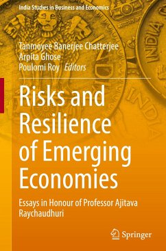 Risks and Resilience of Emerging Economies