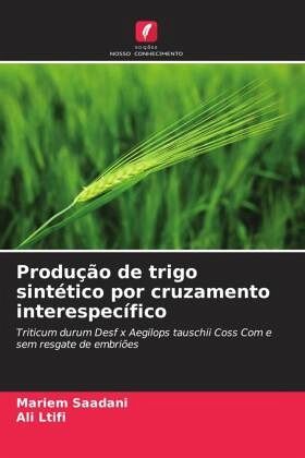Produção de trigo sintético por cruzamento interespecífico