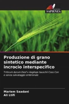 Cover Produzione di grano sintetico mediante incrocio interspecifico