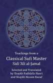 Teachings from a Classical Sufi Master