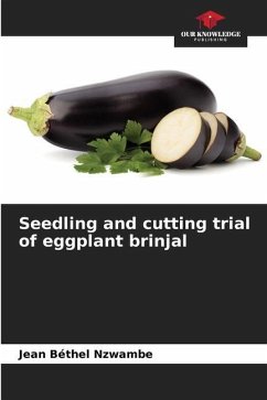 Seedling and cutting trial of eggplant brinjal - Nzwambe, Jean Béthel