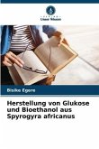 Herstellung von Glukose und Bioethanol aus Spyrogyra africanus