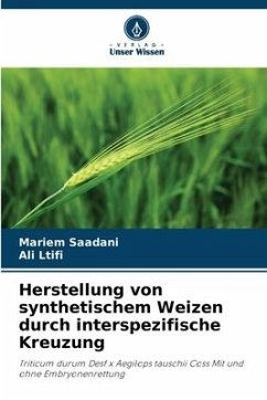 Herstellung von synthetischem Weizen durch interspezifische Kreuzung - Saadani, Mariem;Ltifi, Ali