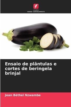 Ensaio de plântulas e cortes de beringela brinjal - Nzwambe, Jean Béthel