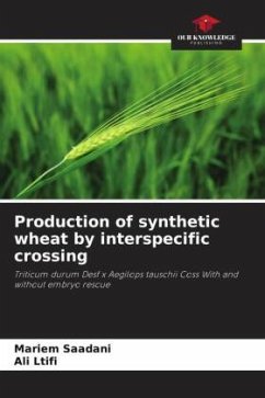 Cover Production of synthetic wheat by interspecific crossing
