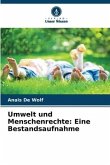 Umwelt und Menschenrechte: Eine Bestandsaufnahme