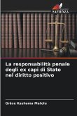 La responsabilità penale degli ex capi di Stato nel diritto positivo