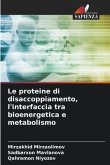 Le proteine di disaccoppiamento, l'interfaccia tra bioenergetica e metabolismo