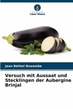 Versuch mit Aussaat und Stecklingen der Aubergine Brinjal - Nzwambe, Jean Béthel