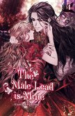 The Male Lead is Mine Vol. 4 (novel) (eBook, ePUB)