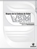 VSM Participant Workbook (Spanish) (eBook, PDF)
