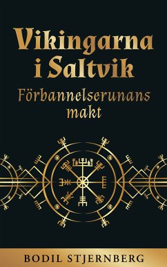 Vikingarna i Saltvik (eBook, ePUB)