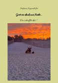 Gott sei dank nur Krebs (eBook, ePUB)