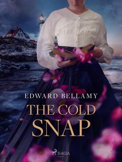 The Cold Snap (eBook, ePUB) - Bellamy, Edward