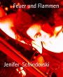 Feuer und Flammen (eBook, ePUB) - Bild 1