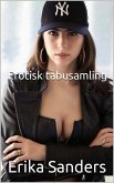 Erotisk Tabusamling (eBook, ePUB)