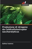 Produzione di idrogeno da Caldicellulosiruptor saccharolyticus