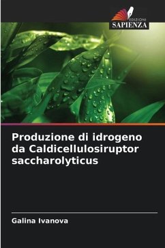 Produzione di idrogeno da Caldicellulosiruptor saccharolyticus - Ivanova, Galina