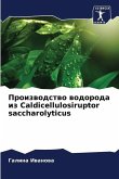 Proizwodstwo wodoroda iz Caldicellulosiruptor saccharolyticus